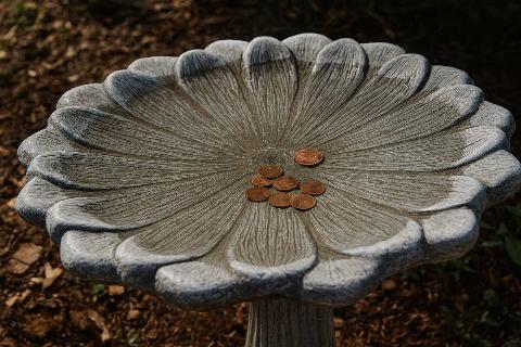 Pennies in a birdbath. 