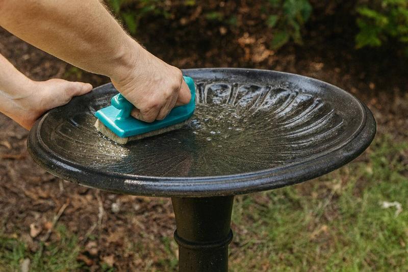 Hands cleaning birdbath. 