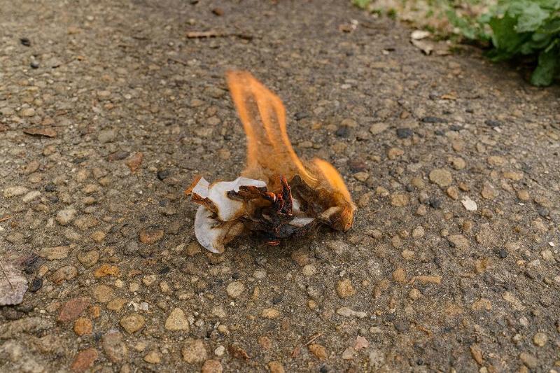 Coffee filter on fire.