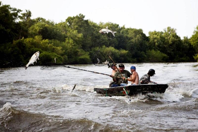 Contestants hang onto the side of their boats with nets extended, hoping to catch flying Asian Carp at the Redneck Fishing contest on August 7 2010 in Bath, IL.