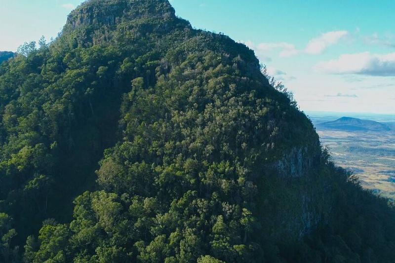 Main Range National Park in Queensland, Australia.