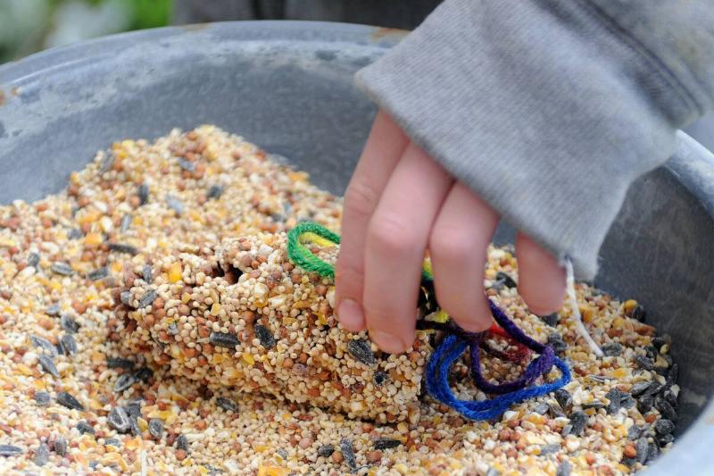 Hands rolling toilet paper roll in peanut butter and seeds to make DIY feeder.