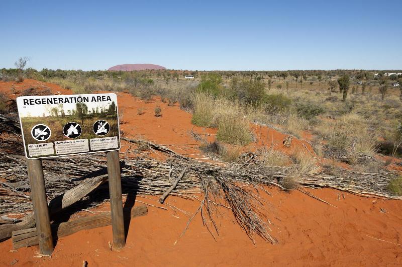 A sign shows the regeneration work being done near Uluru.