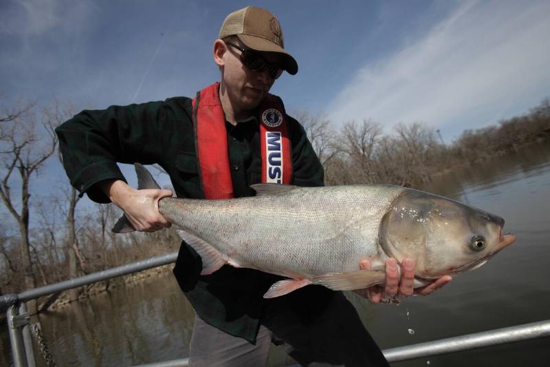 Steve Tyscko holds a carp in Havana, Illinois