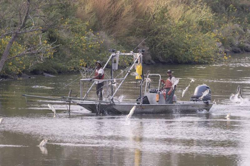 A USFWS crew made up of biologists and technicians from the Columbia Fish and Wildlife Conservation Office and the Great Plains Fish and Wildlife Conservation Office deploy an electrified dozer trawl to sample for Silver and Bighead carp.