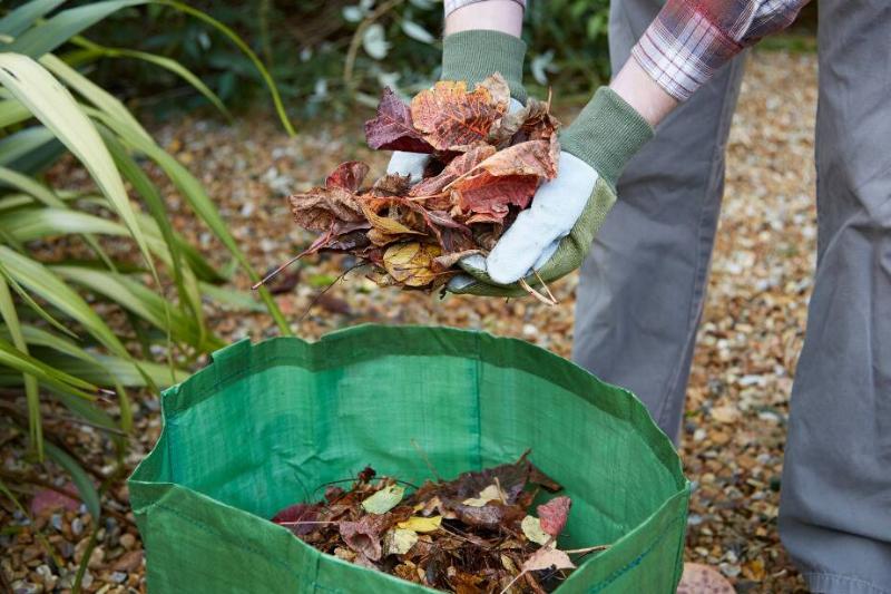 Person not twisting as they put leaves in a bag.