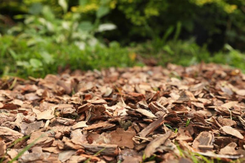 Mulch made from wood chips and leaves.