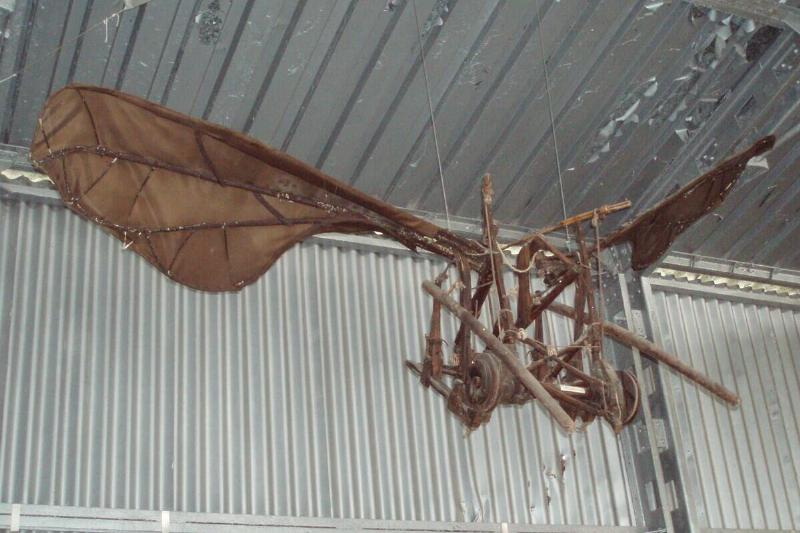 A rough replica of Leonardo Da Vinci's ornithopter design.
