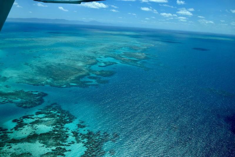 The Great Barrier Reef