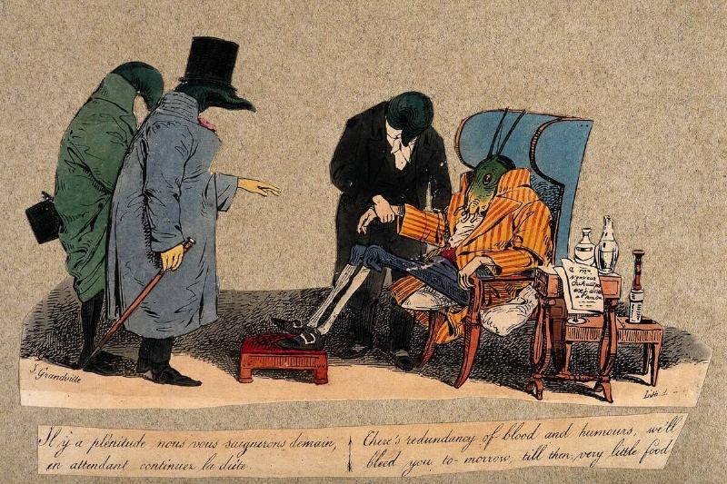 Three leeches dressed as doctors, attending to a grashopper. 