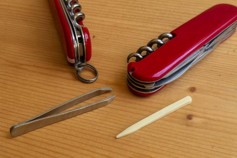 Tweezers from a Swiss Army knife. 