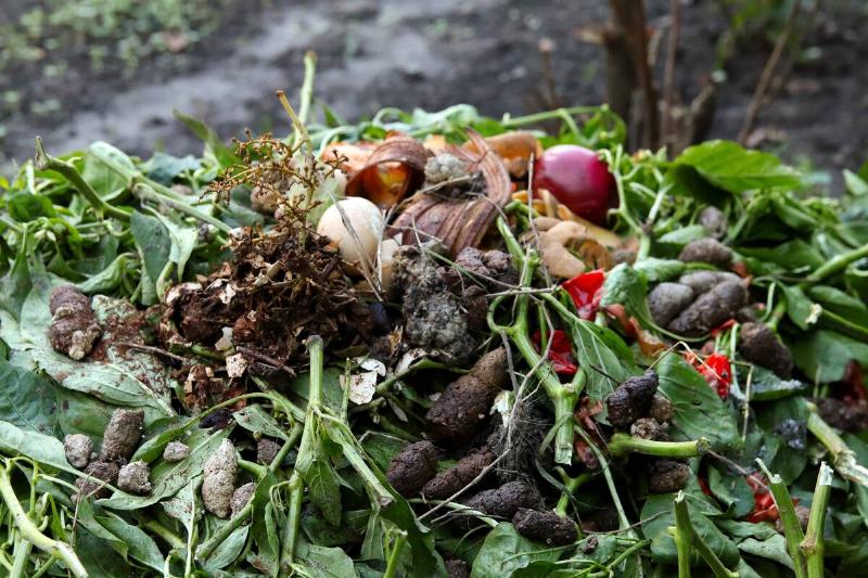 A pile of compost in a garden. 