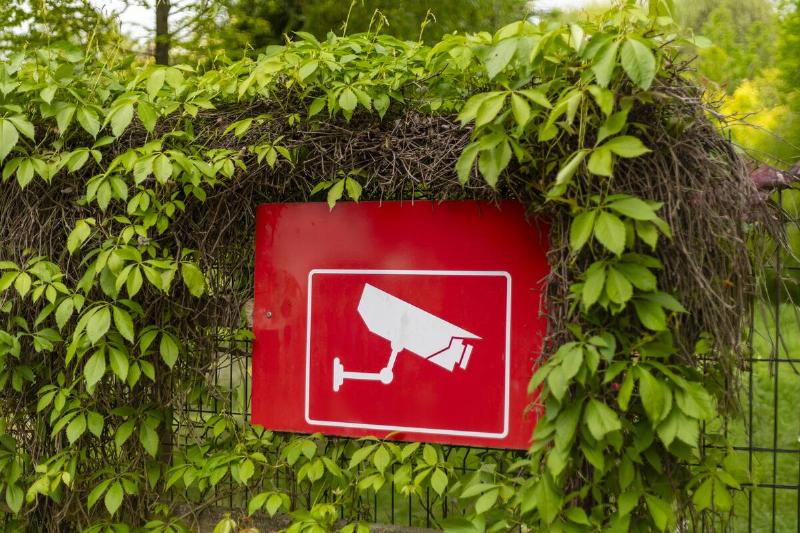 A red warning sign indicating the presence of a security camera is partially obscured by vibrant green leaves.