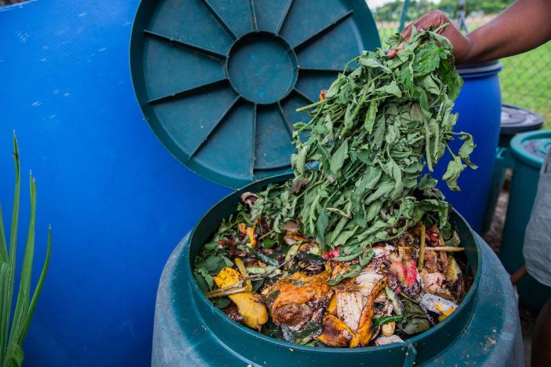 Hands putting plant clippings and waste in compost pile.