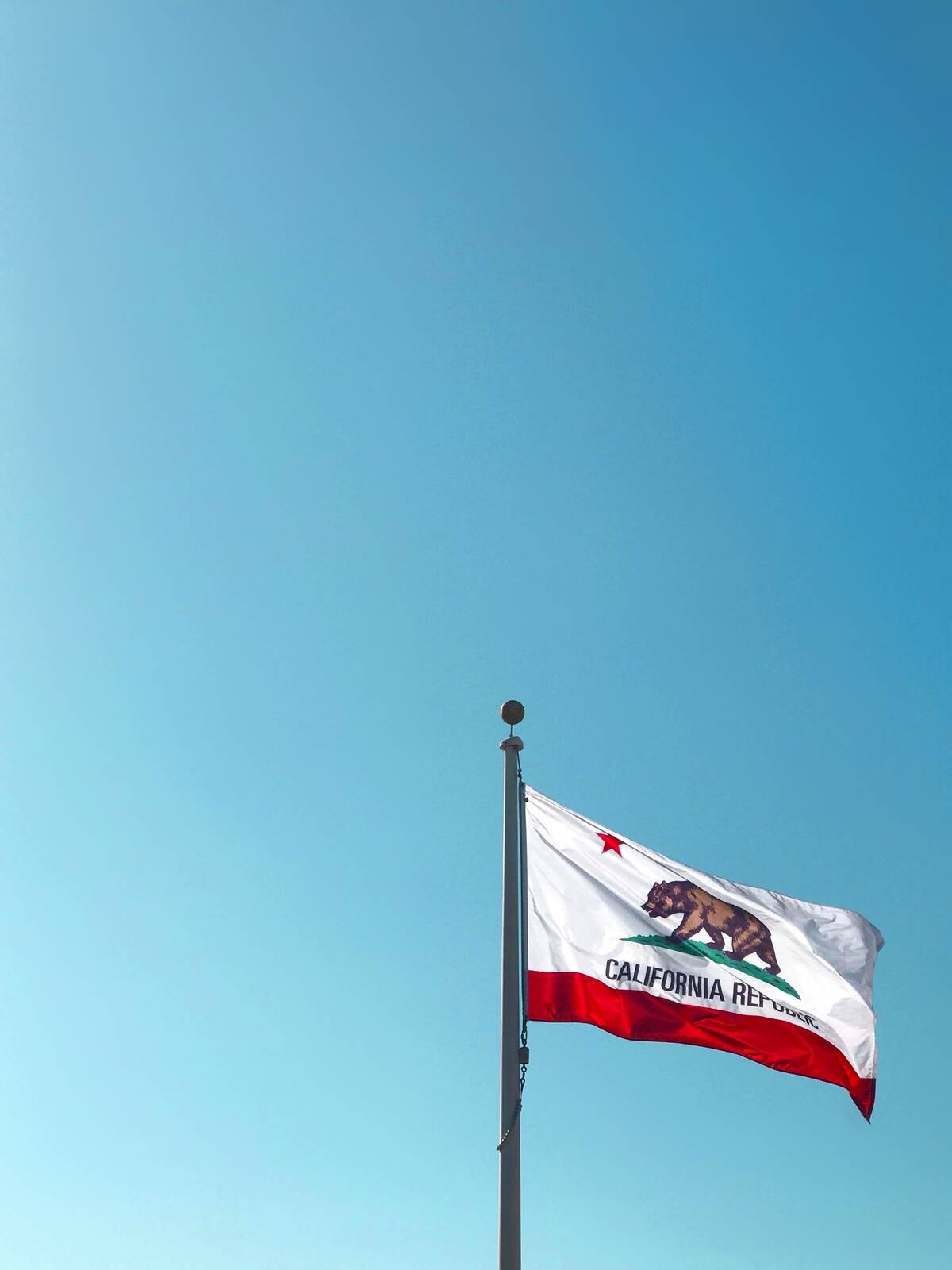 California state flag in the wind. 