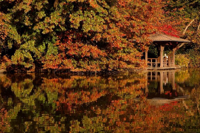 A man sits next to The Lake in front of trees turning color in Central Park as the sun rises on October 28, 2024, in New York City.