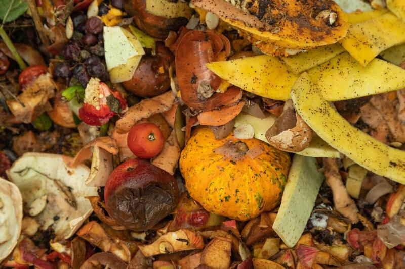 Compost pile made of organic food, leaves, vegetable and fruit.