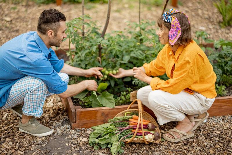 Man and woman working together in garden. 