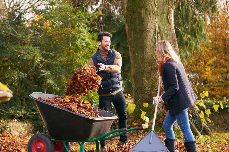 Couple raking autumn leaves and putting them in a wheelbarrow.