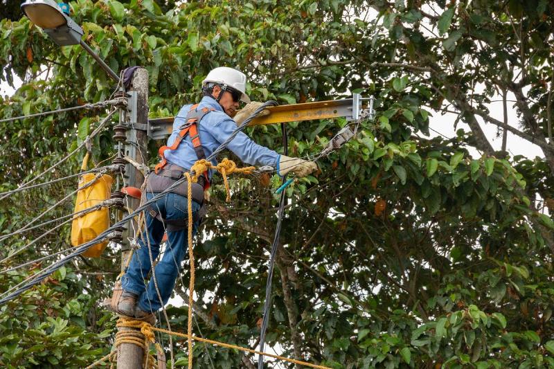 Electrician working on electric pole near trees.