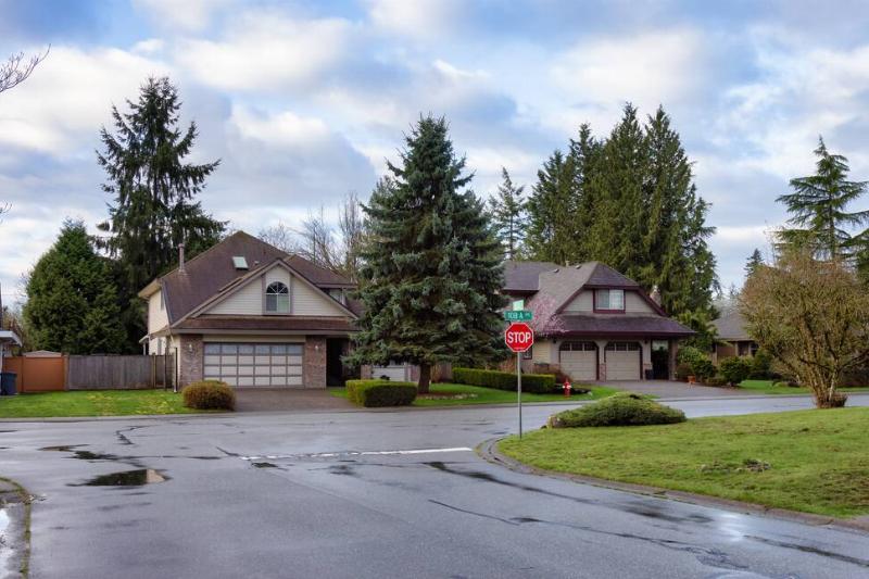 Two houses with a large tree in the middle. 