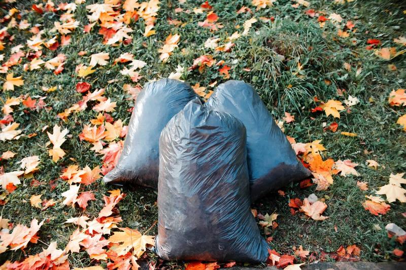 Leaves and bags of yard waste.
