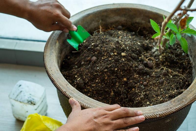 Putting soil in large garden pot.