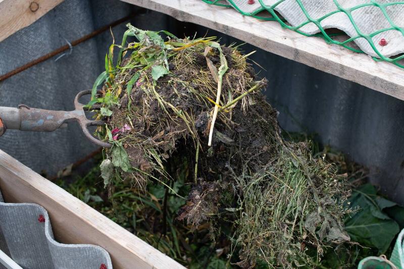 Garden fork lifting organic compost.