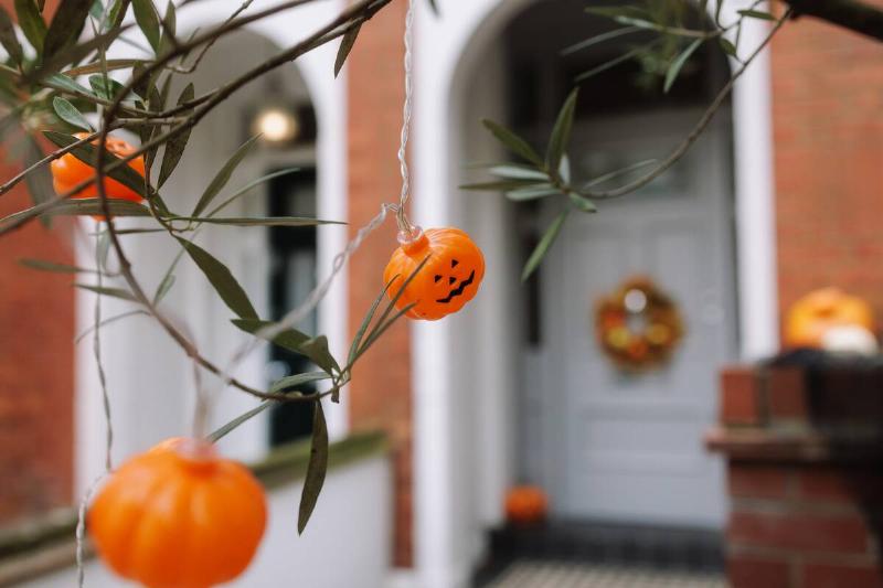 Pumpkin lights hanging from a tree.