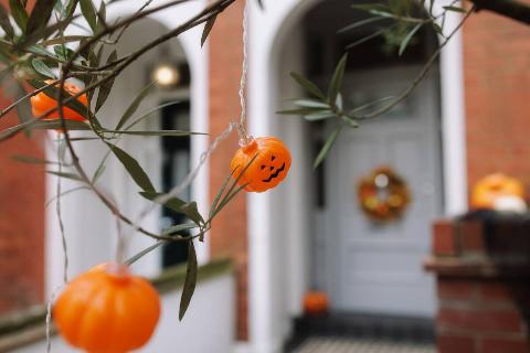 Pumpkin lights hanging from a tree.