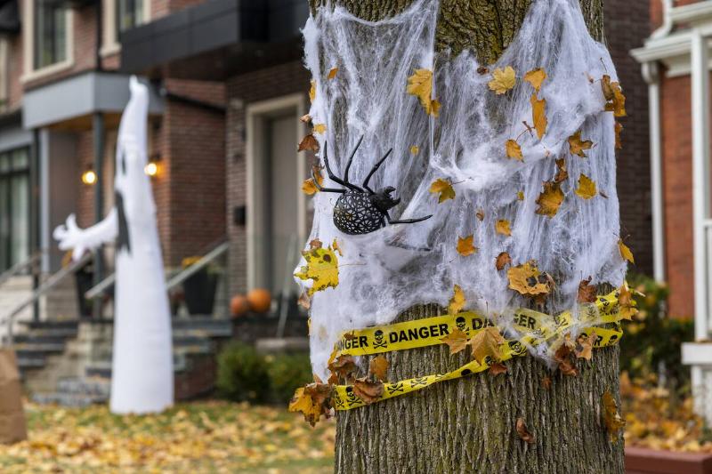 Two houses decorated for Halloween. 