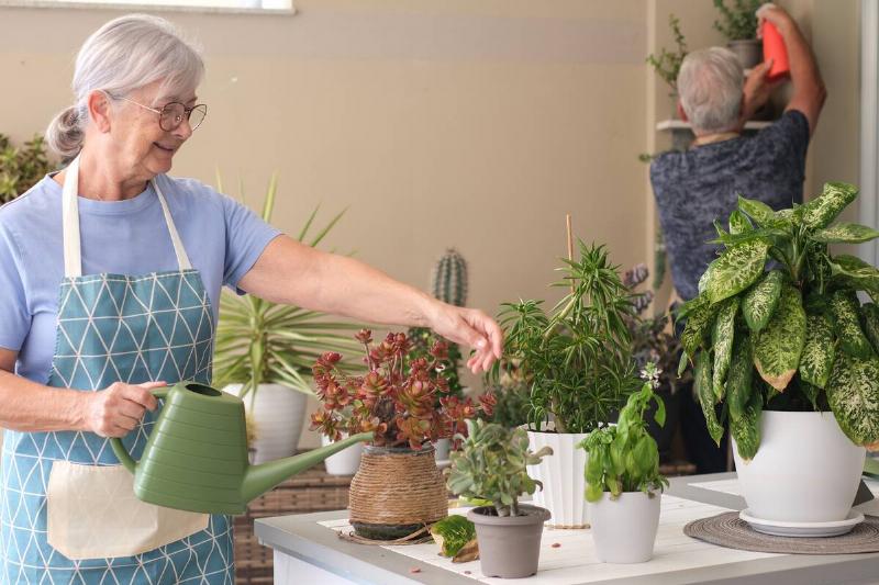 Happy couple watering plants together. 