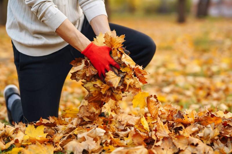 Man kneeling as he picks up leaves