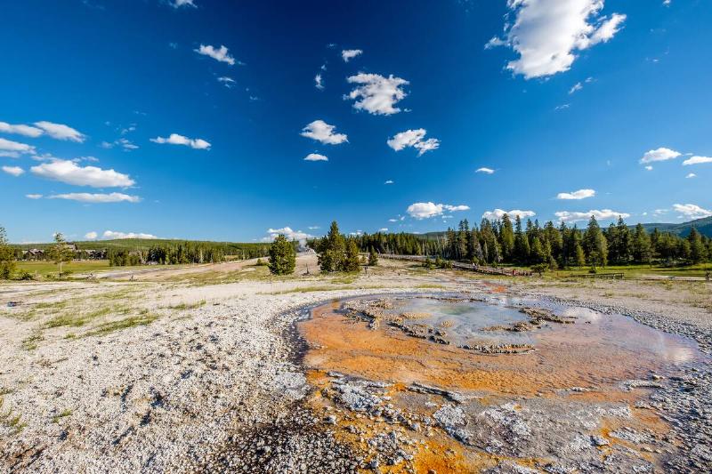 Hot thermal spring in Yellowstone National Park, Wyoming, USA.