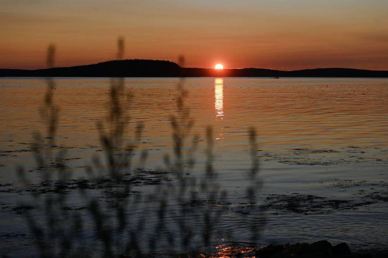 Views of Acadia National Park. 