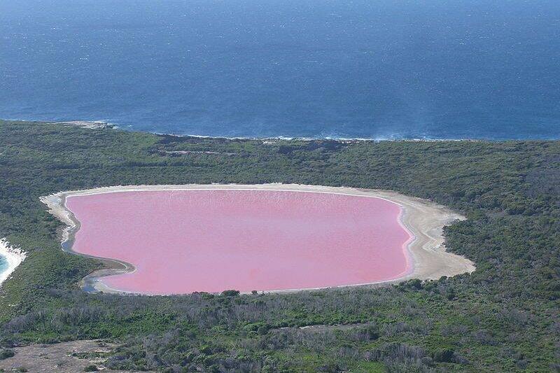 The Lake Hillier, Middle Island, Recherche Archipelago Nature Reserve, in Western Australia, is a saline lake notable for its pink color