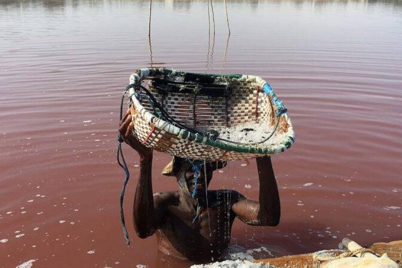 Worker, is digging the salt in the lake.