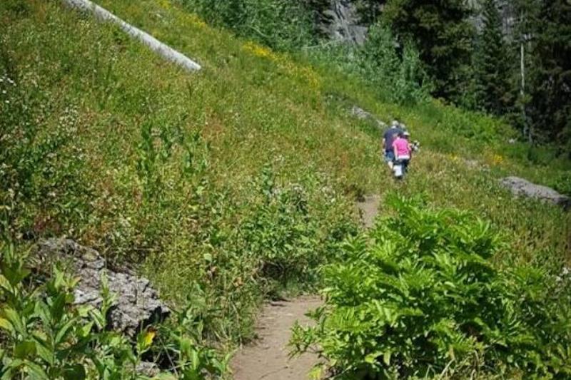 Views of Logan Canyon.