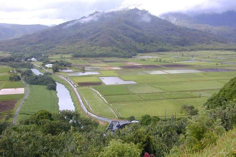 Lower Hanalei Valley as seen from the overlook near Princeville.