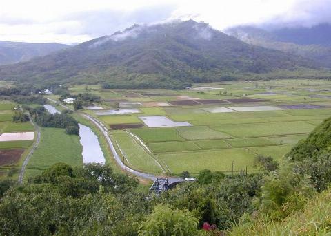 Lower Hanalei Valley as seen from the overlook near Princeville.