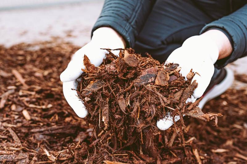 Male hands in gardening gloves holding wood chips. 