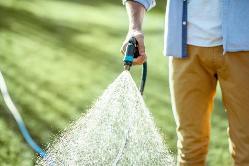 Man watering green lawn with hose. 