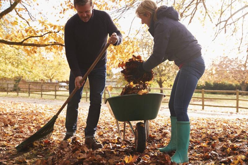 Couple raking leaves in garden together. 