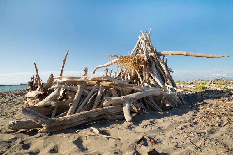 Pile of driftwood at beach.