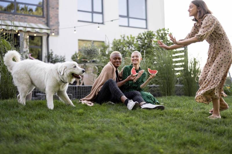 Three people sit on front lawn with dog, eating watermelon. 
