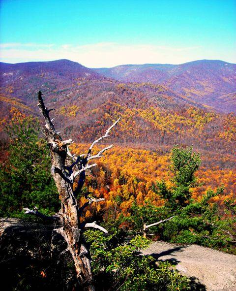 View from the summit of Old Rag Mountain.