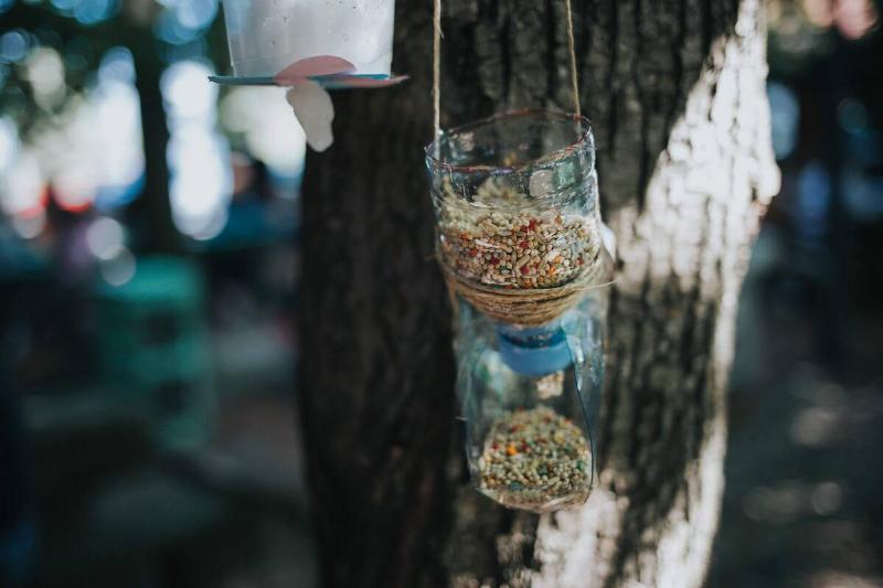DIY bird feeder made from a water bottle. 