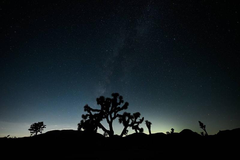 A view of stargazing at Joshua Tree National Park, a vast protected area in southern California characterized by rugged rock formations and stark desert landscapes.