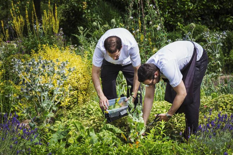 Two men working in a community garden. 
