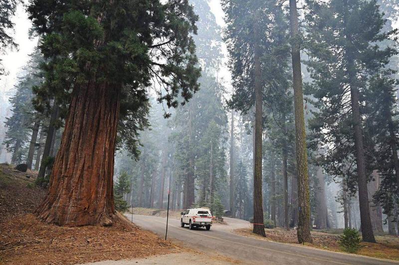 A truck passes the McKinley Grove of giant sequoias as the Garnet fire burns in the Sierra National Forest southeast of Shaver Lake along McKinley Grove Road Tuesday, Sept. 9, 2025.